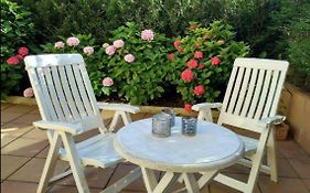Ondarreta Beach&Terrace
